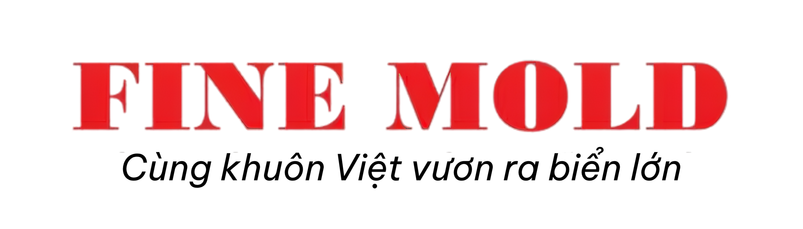 Fine Mold Việt Nam